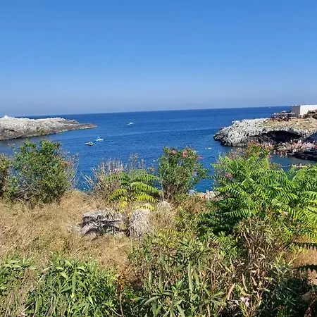 La Sosta Del Viandante - * Muro Leccese