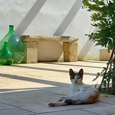 La Sosta Del Viandante - * Muro Leccese