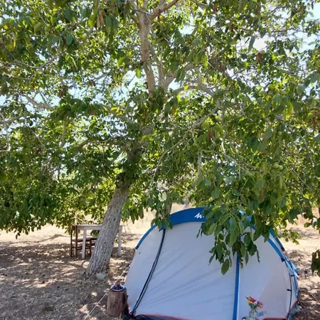 אתר קמפינג La Sosta Del Viandante - Camping