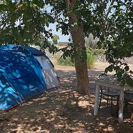 אתר קמפינג La Sosta Del Viandante - Camping מורו לצ'זה