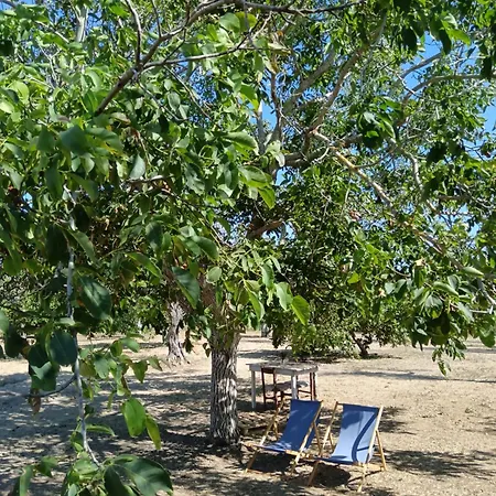 La Sosta Del Viandante - Campingplads *