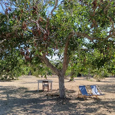 La Sosta Del Viandante - Campingplads Muro Leccese