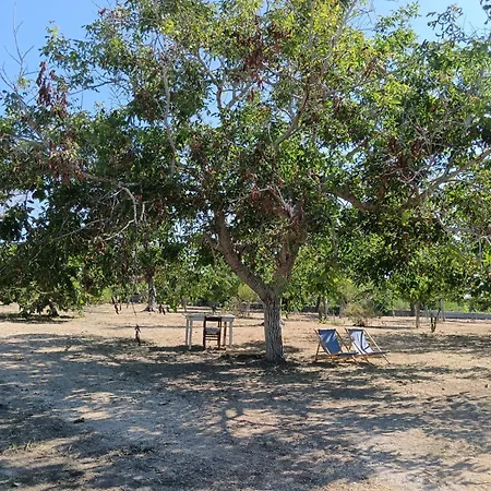 Campingplads La Sosta Del Viandante -